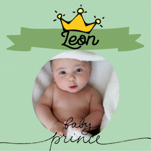 PRINCE VERT
