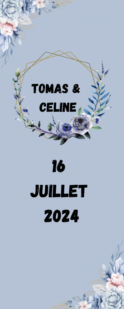 FLEURS BLEUES LAVANDE