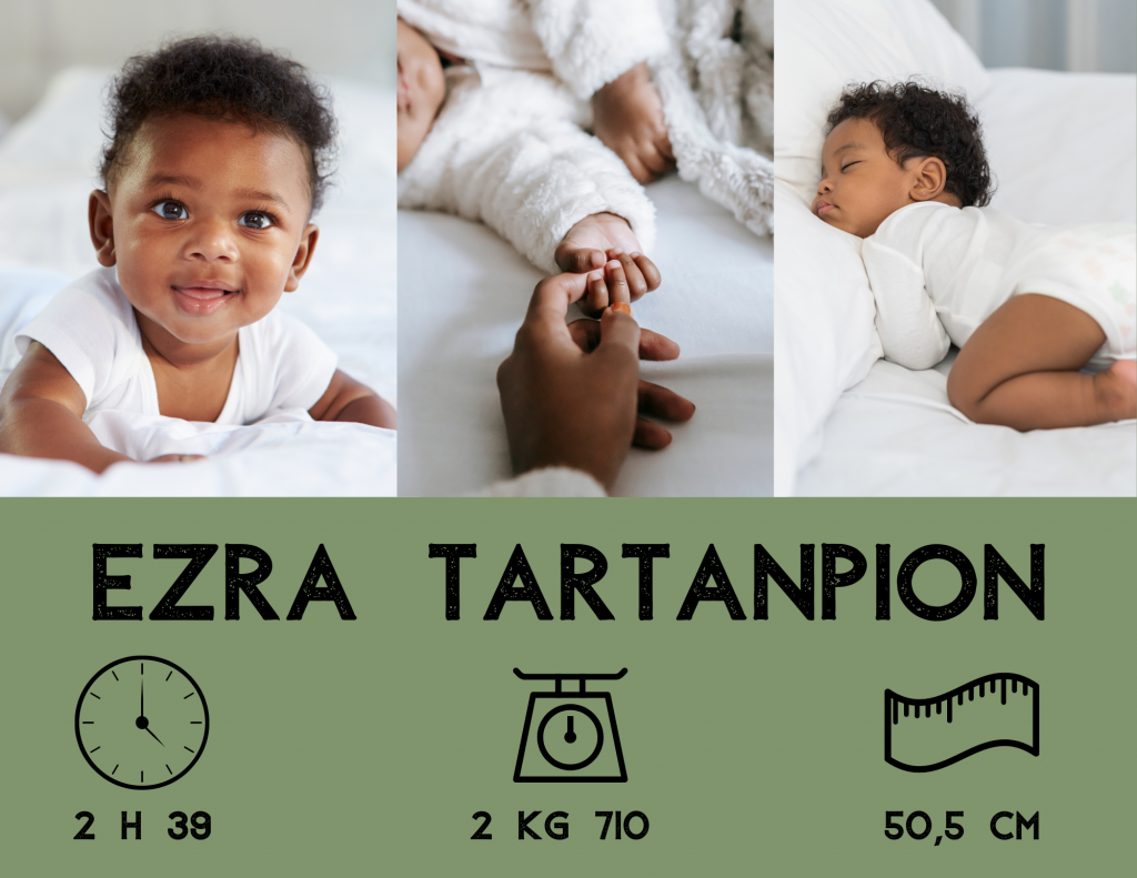 TRIPTIQUE VERT